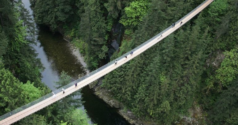 هل تقبل السير على هذه الجسور الخطيرة مقابل مليون دولار ؟